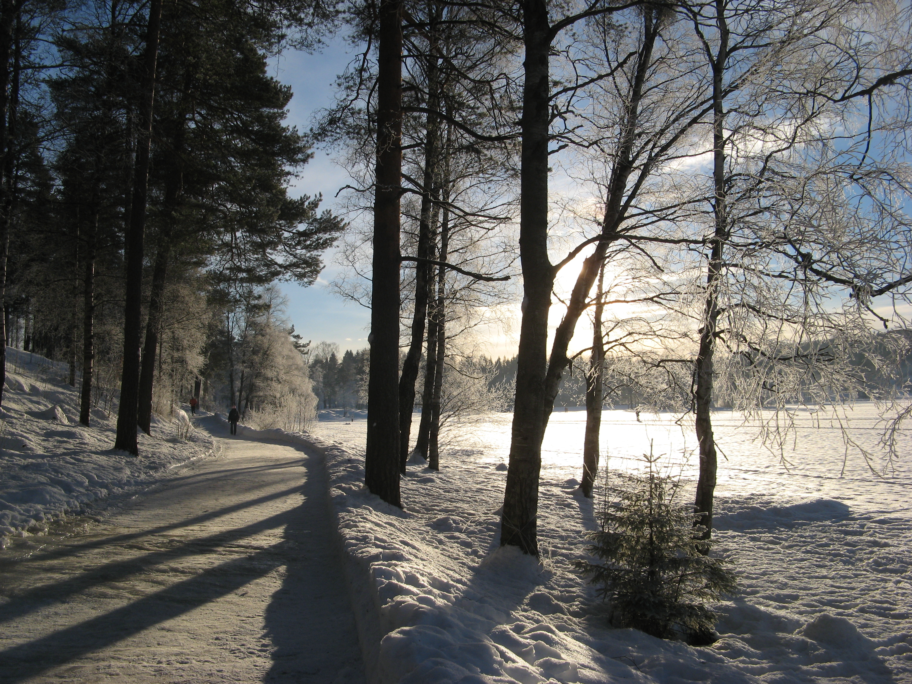 Winter at Sognsvann