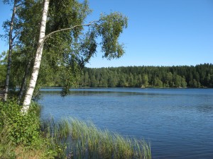 Sognsvann