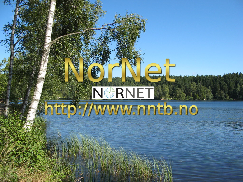 Splash-Node1-1024x768