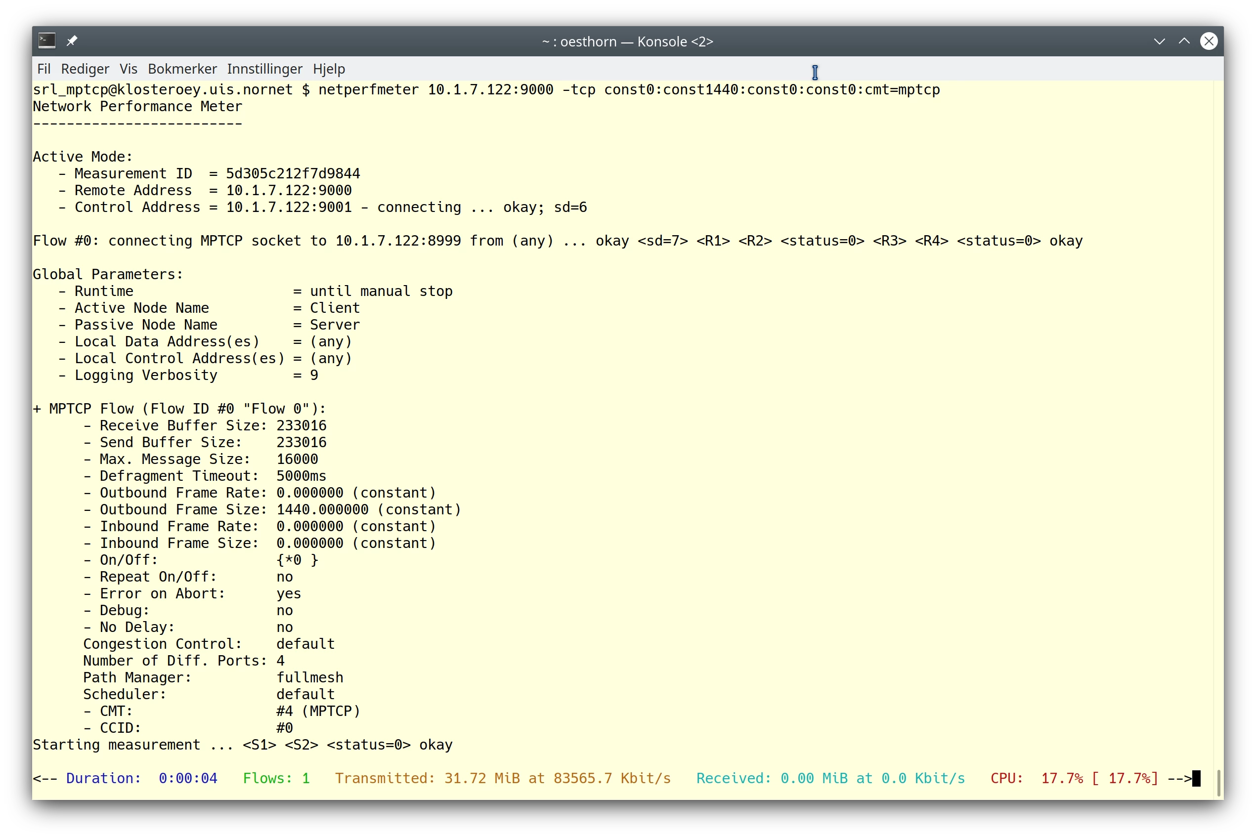 Screenshot of NetPerfMeter run