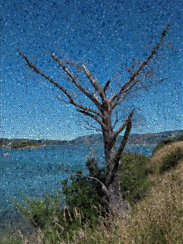 Picture of Portobello, New Zealand; Mosaic effect